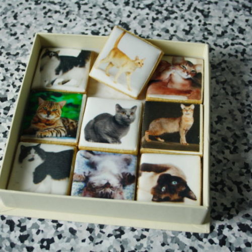 Non dire gatto…